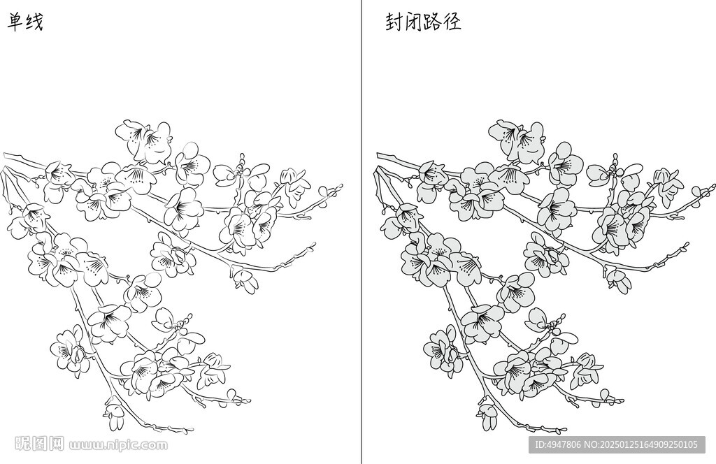 桃花 矢量圖