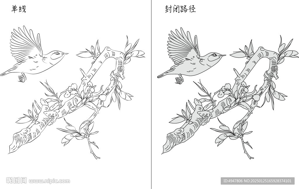 花 矢量圖