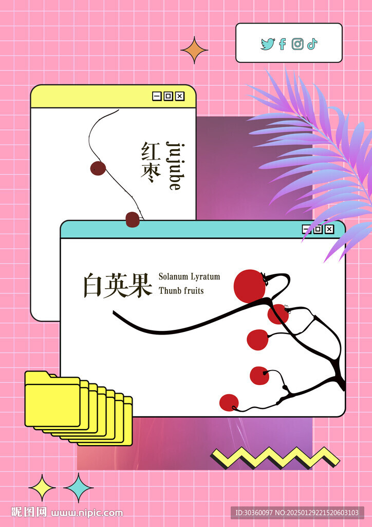 植物果實(shí)招貼
