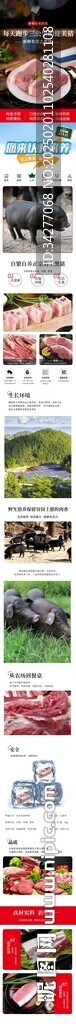 豬肉詳情頁