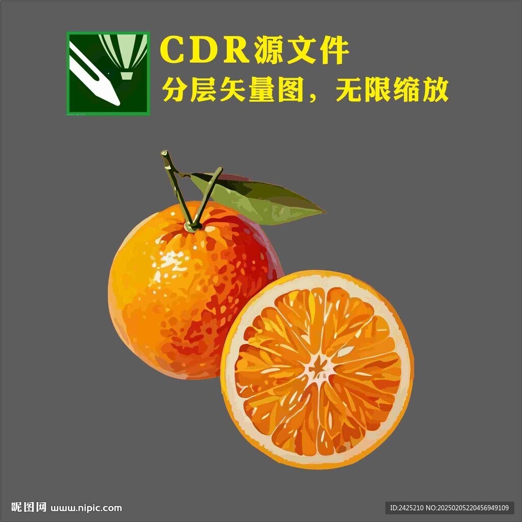 橙子矢量圖