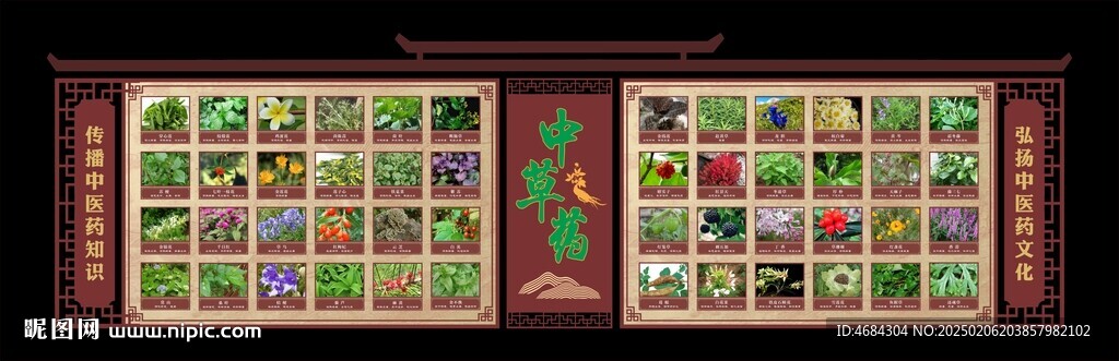 中草藥文化墻