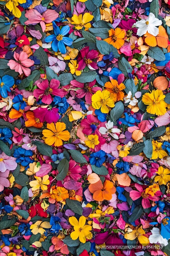 花墻背景花瓣墻