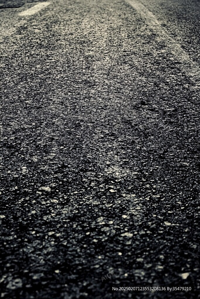 柏油路上黃色落葉