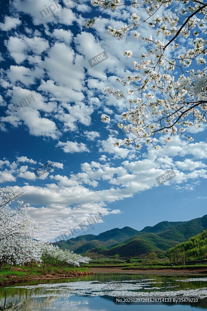 梨花箐