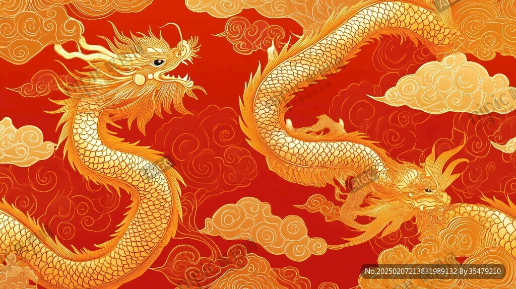 雙龍戲珠插畫(huà)