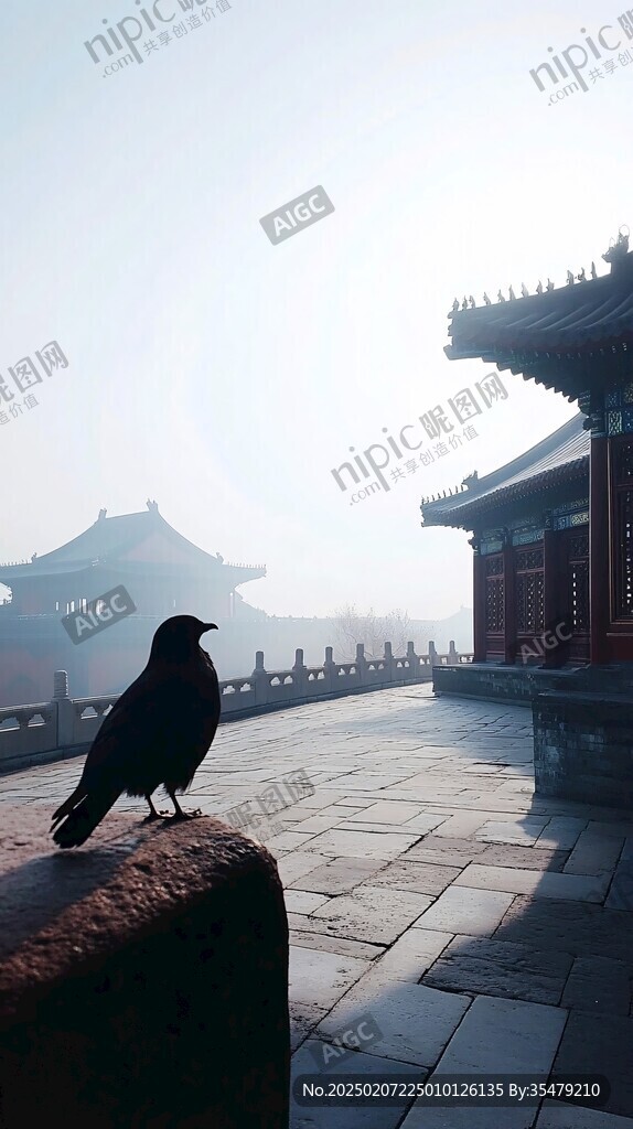 故宮烏鴉