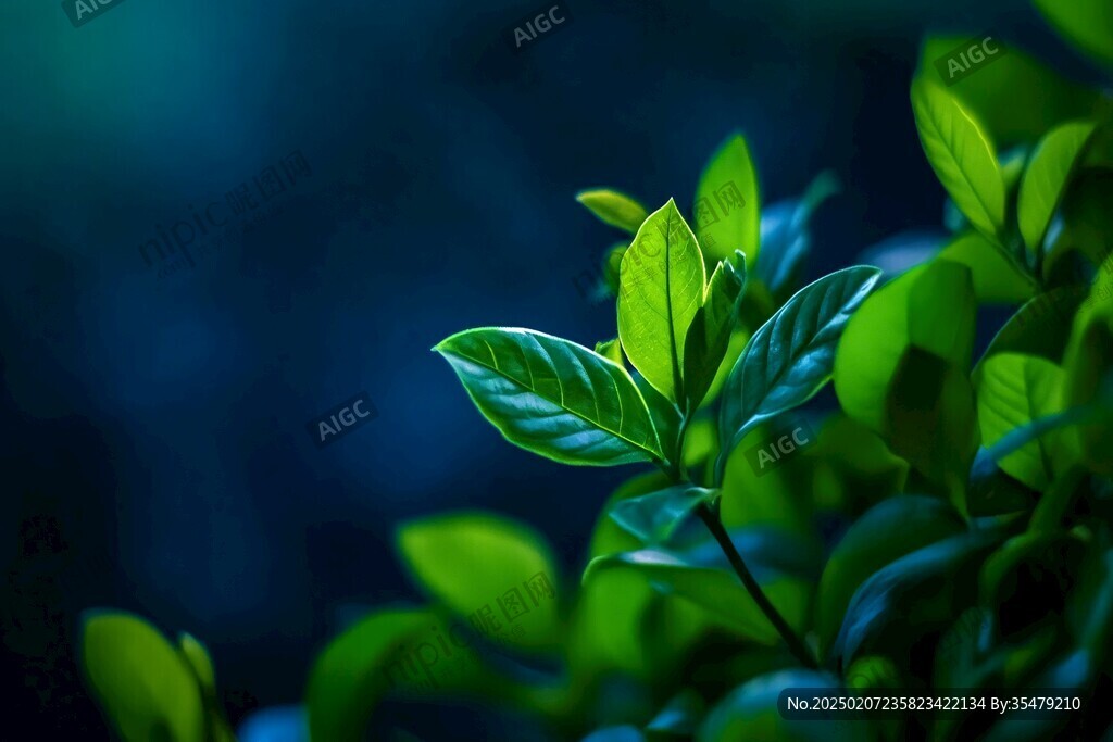 綠色植物壁紙