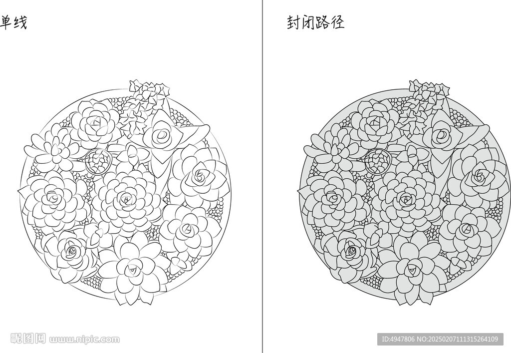 多肉 矢量圖