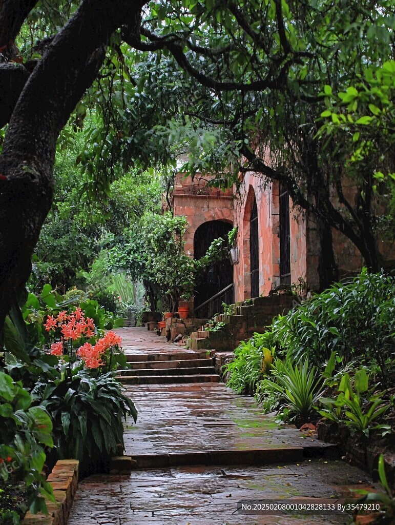 雨中的花園