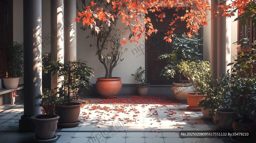 秋日陽(yáng)光小院