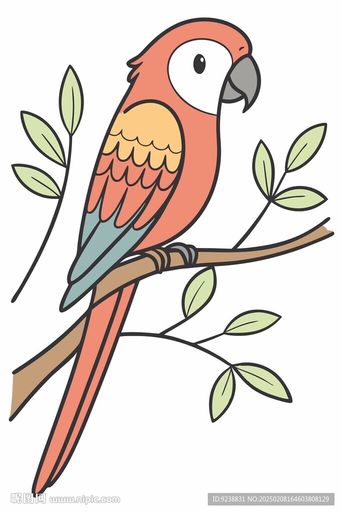鸚鵡插畫