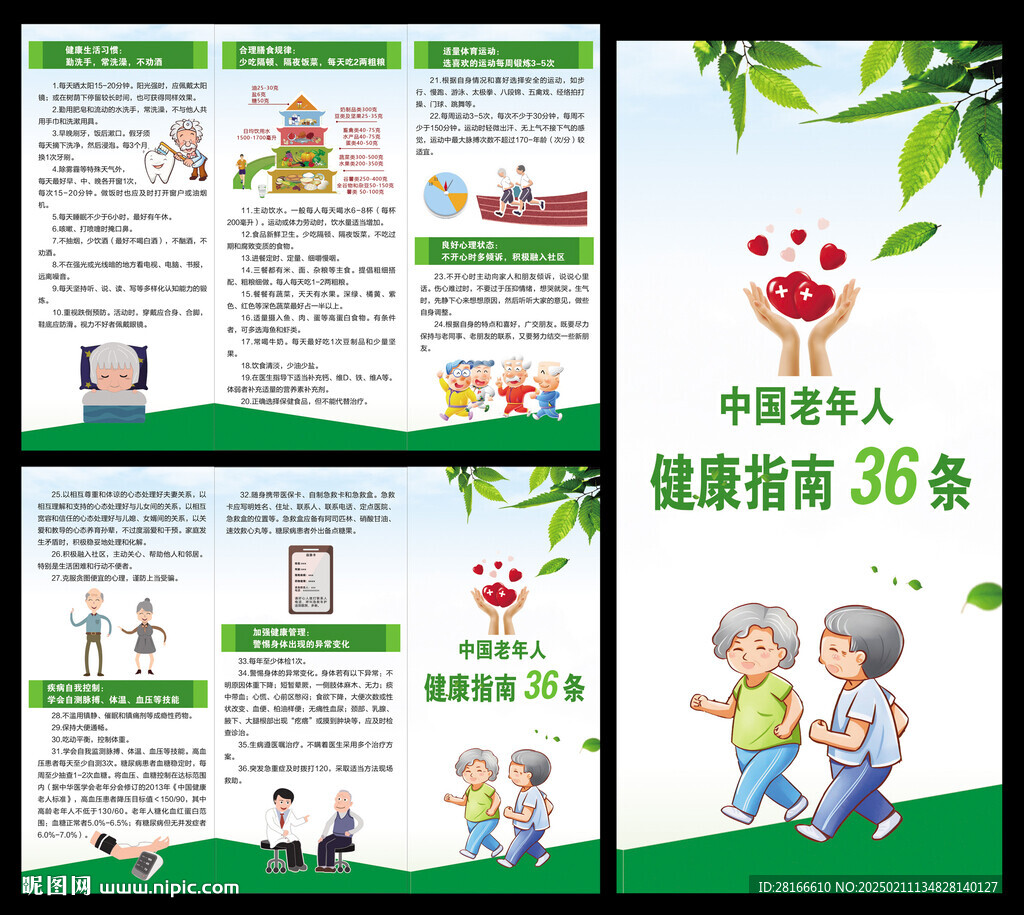 老年人健康指南36條三折頁