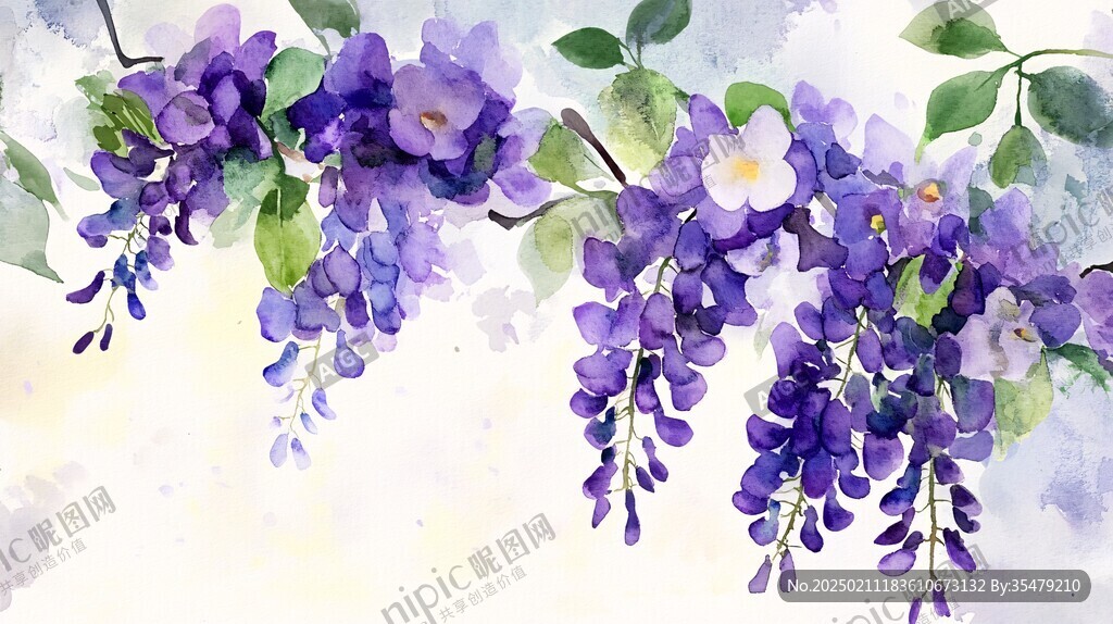 唯美紫藤花水彩插畫