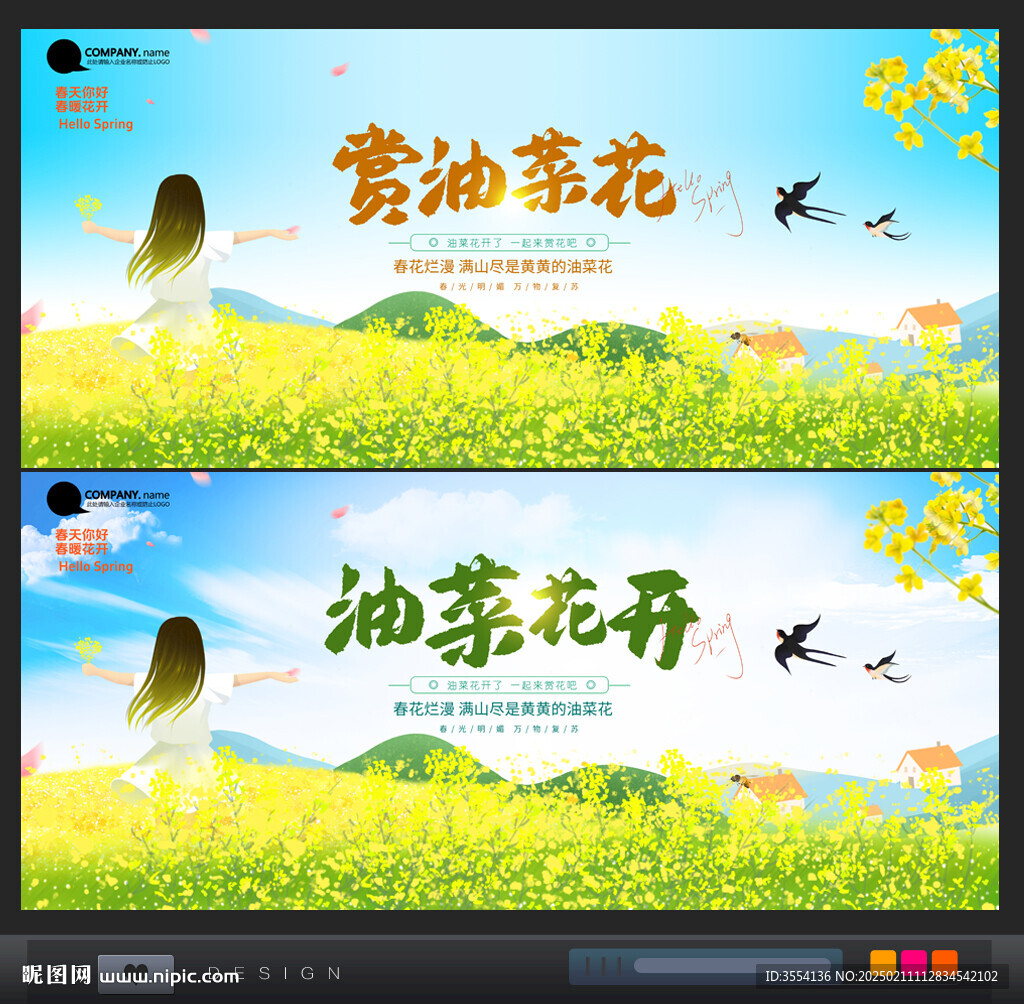 油菜花
