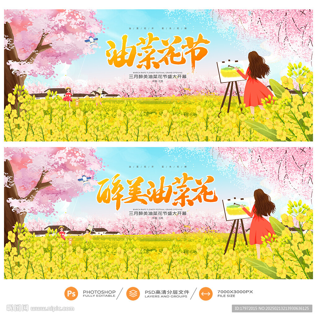 油菜花節