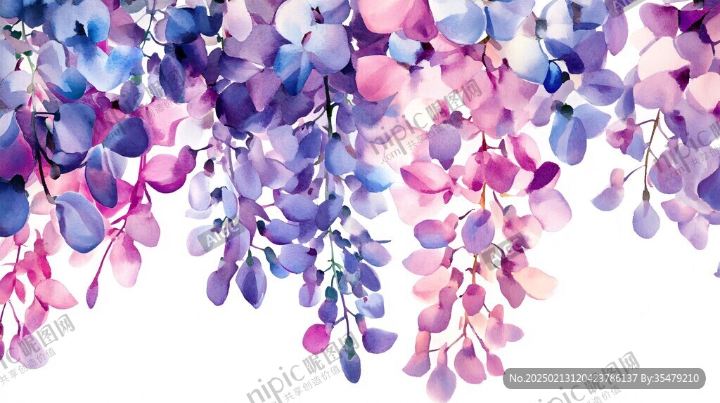 唯美紫藤花水彩插畫(huà)