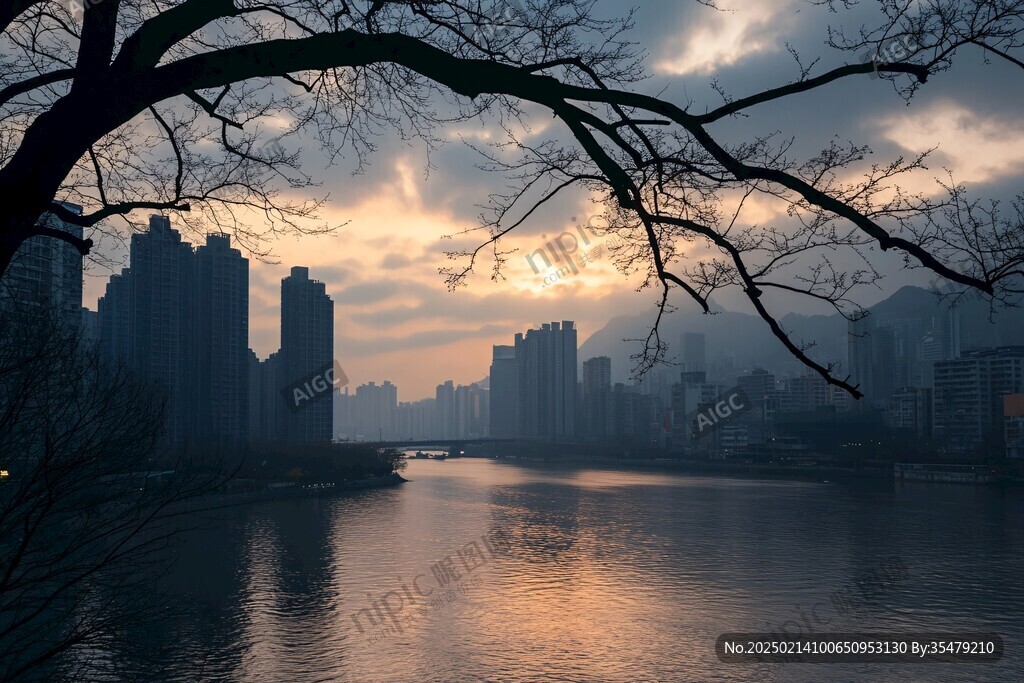 晨光海河