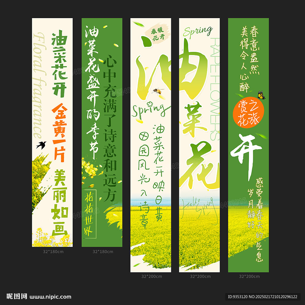 油菜花