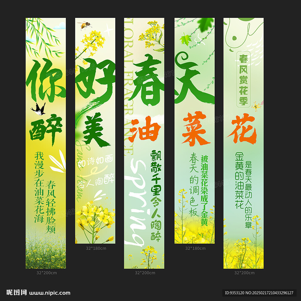 油菜花背景