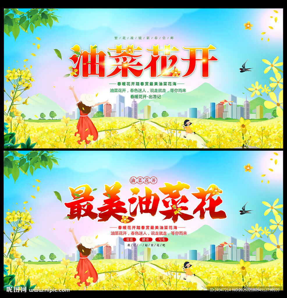 油菜花開