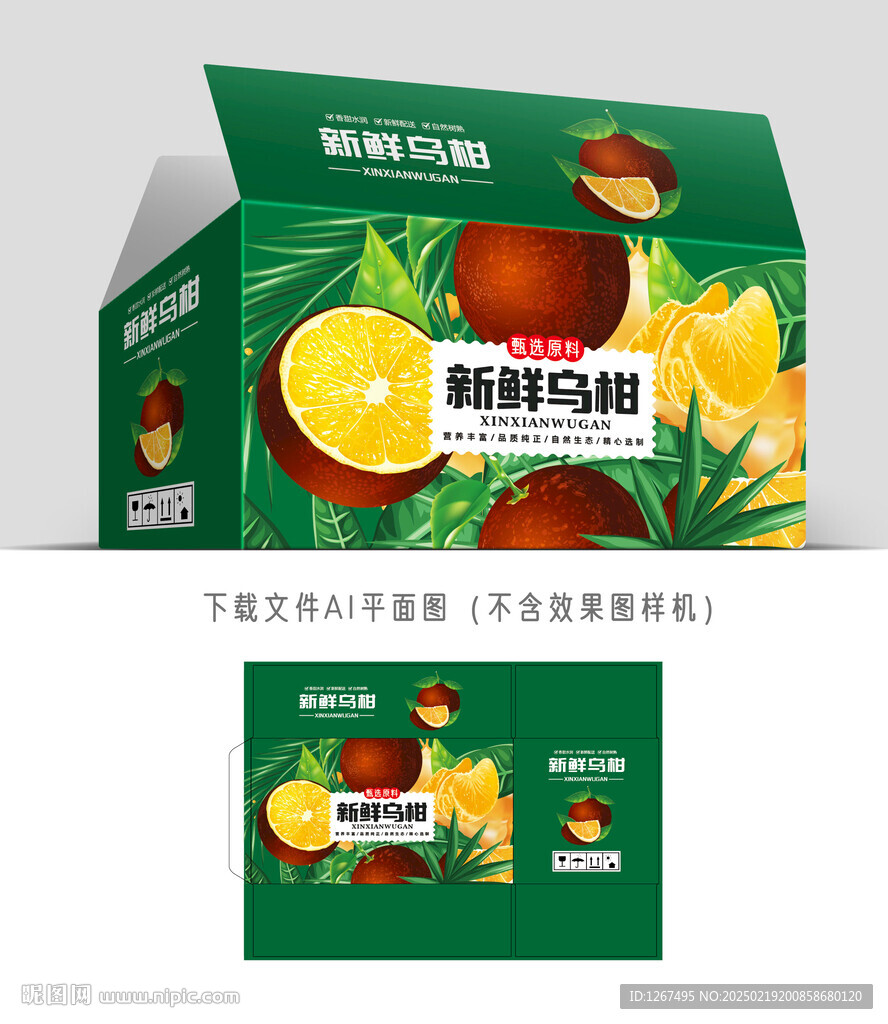 新鮮烏柑包裝