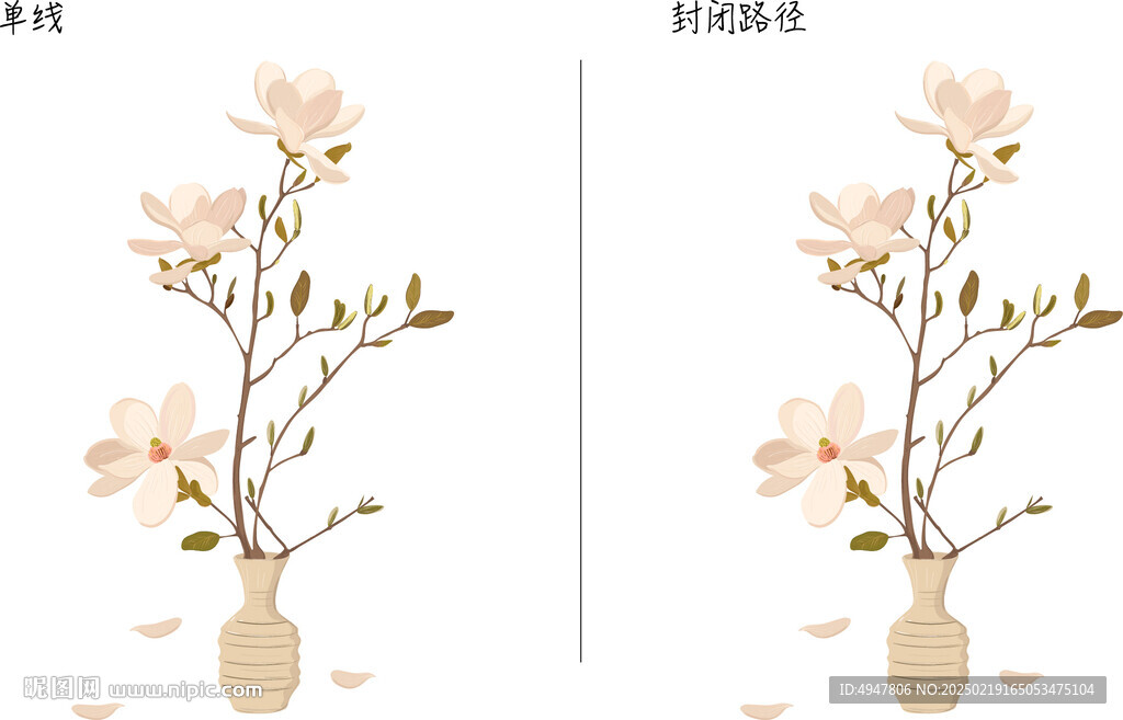 玉蘭花 矢量圖
