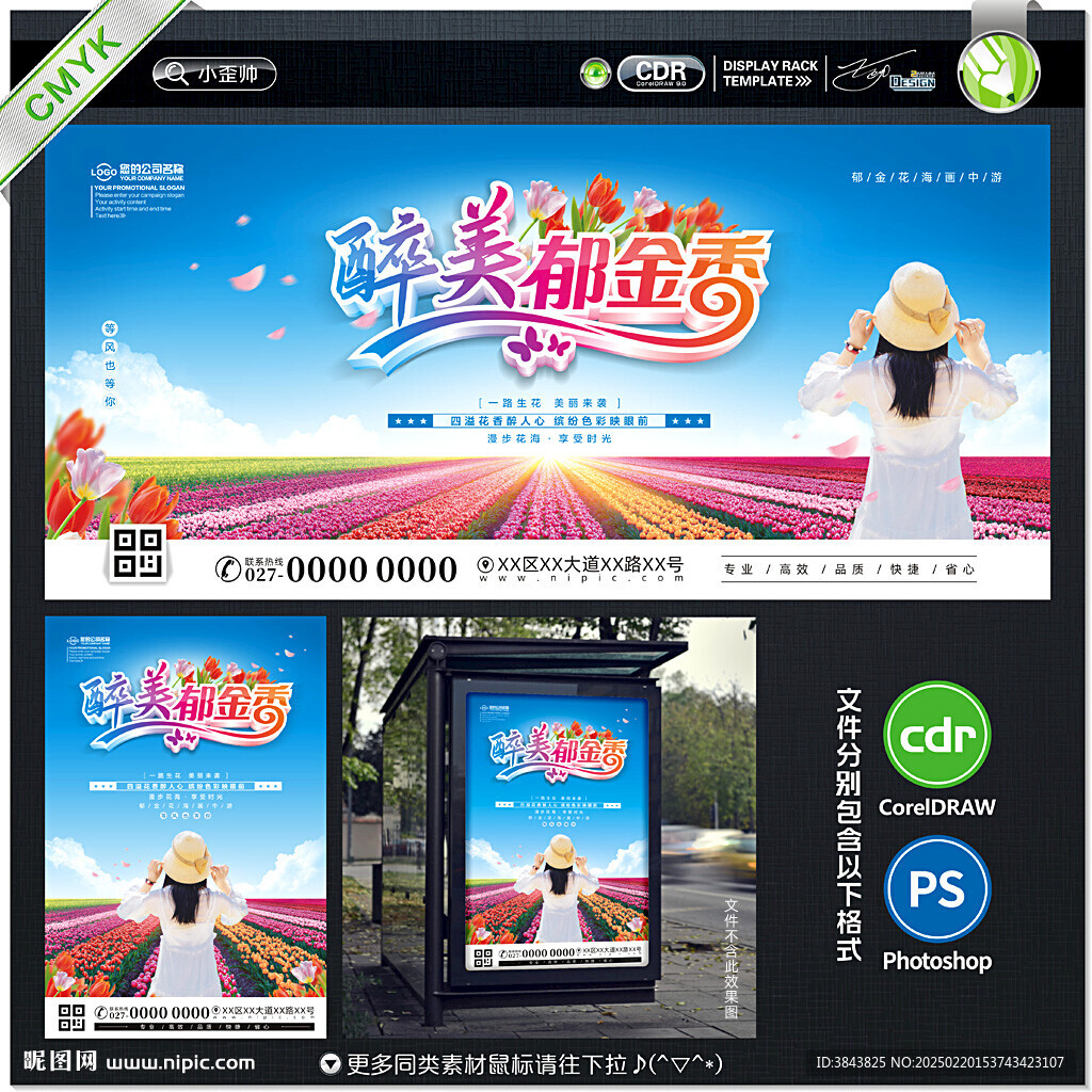 郁金香