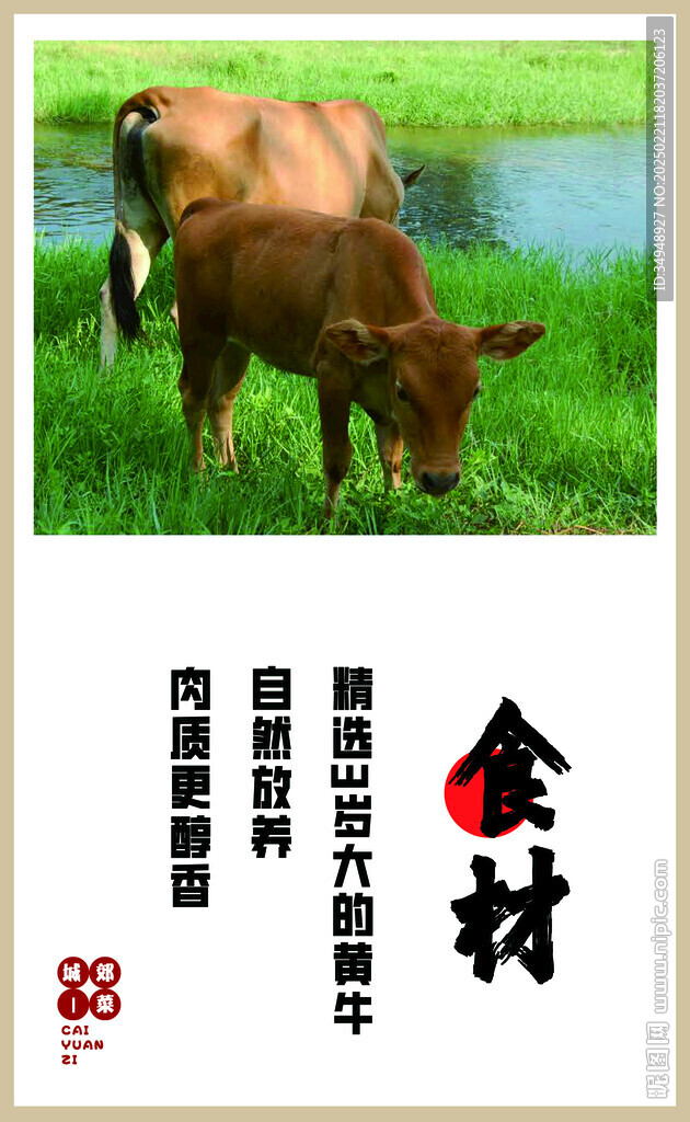 食材