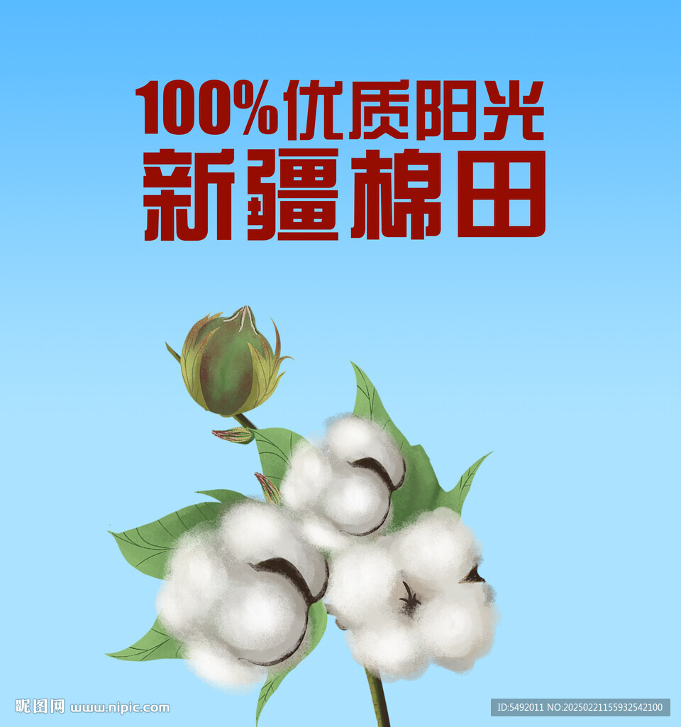 棉花海報(bào)
