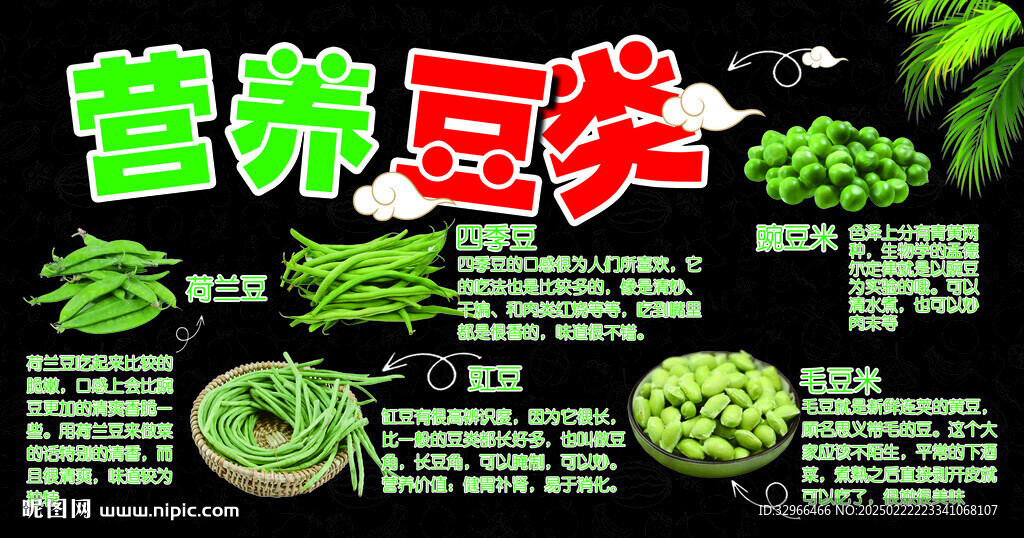 豆角種類小常識