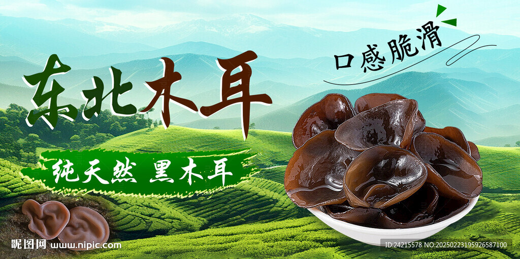 黑木耳海報