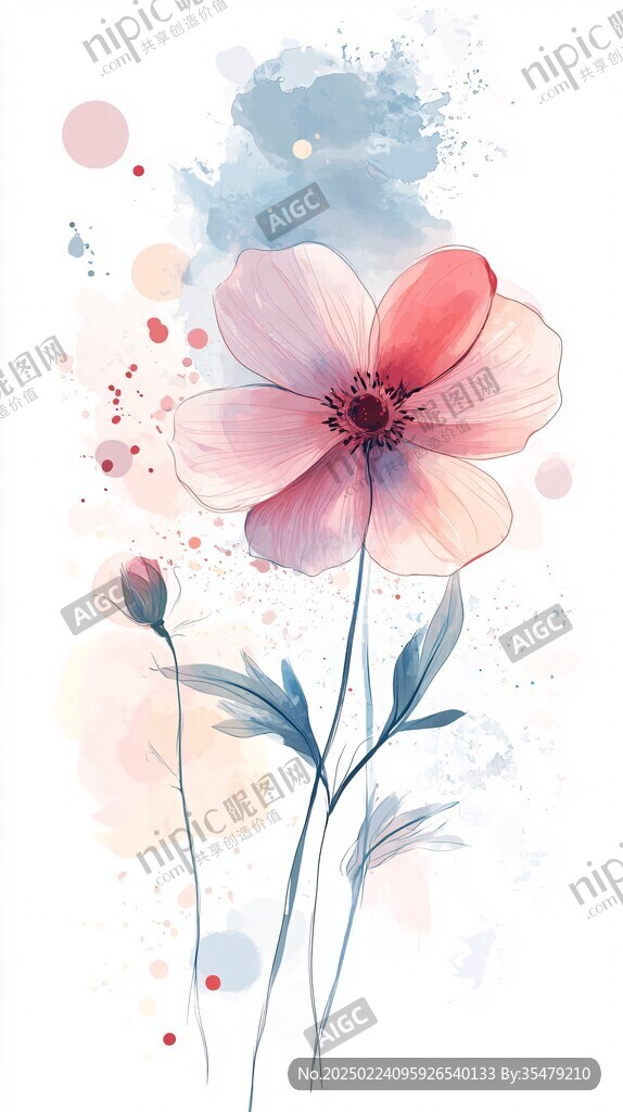 格桑花插畫