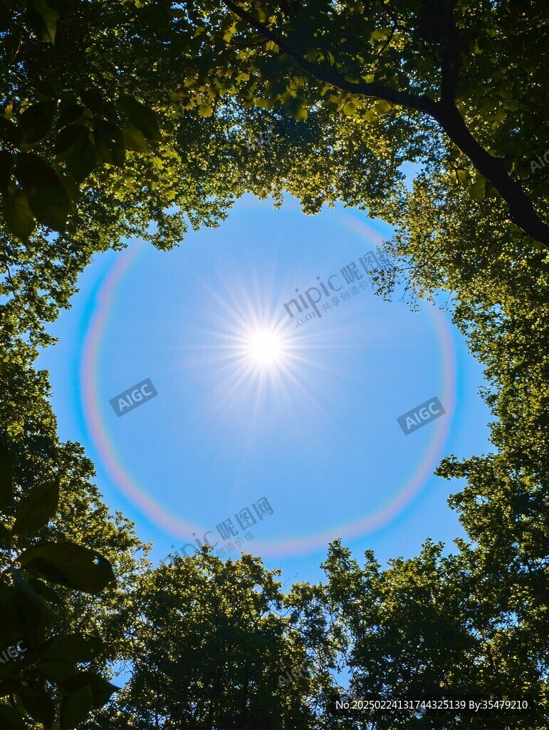 太陽光光暈