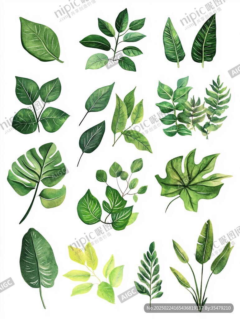 植物樹葉素材