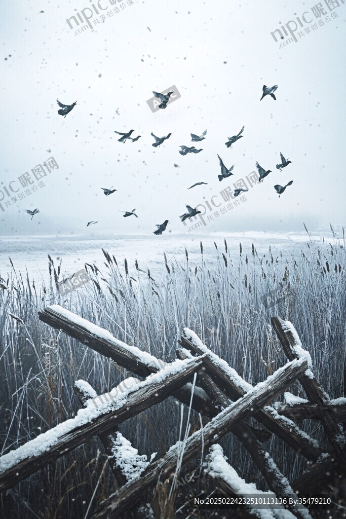 冬季蘆葦濕地雪地