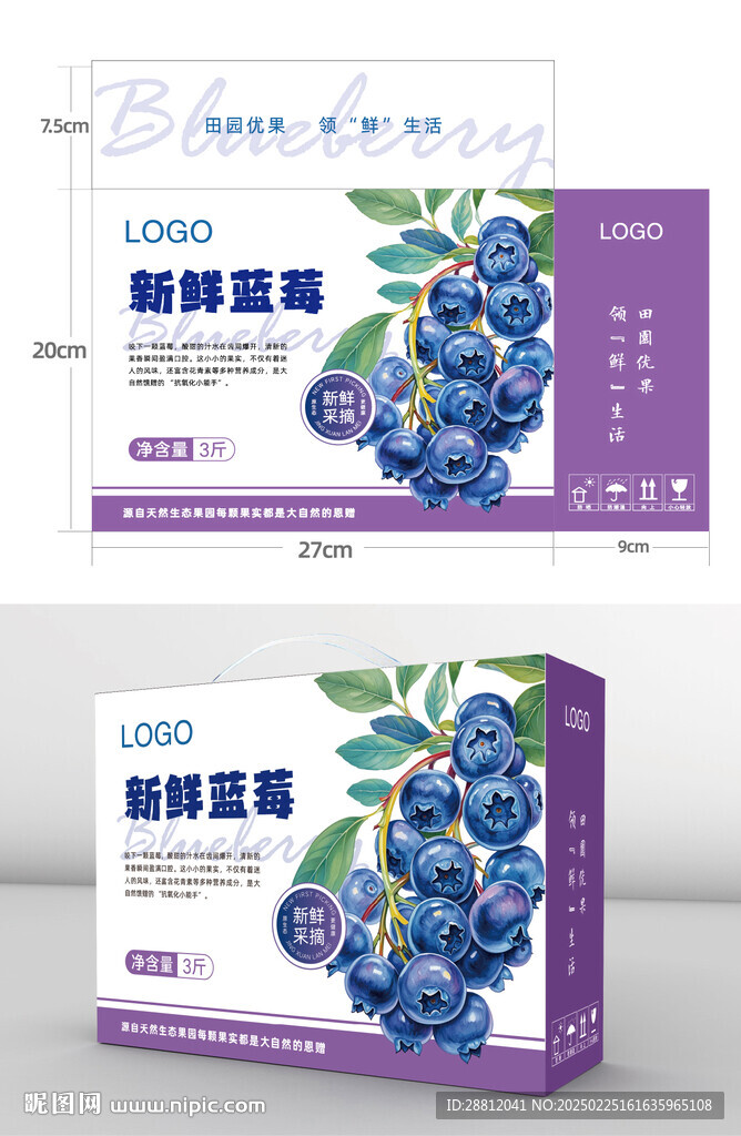 藍(lán)莓包裝