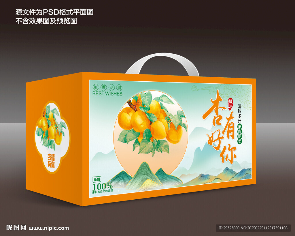 杏子包裝禮盒