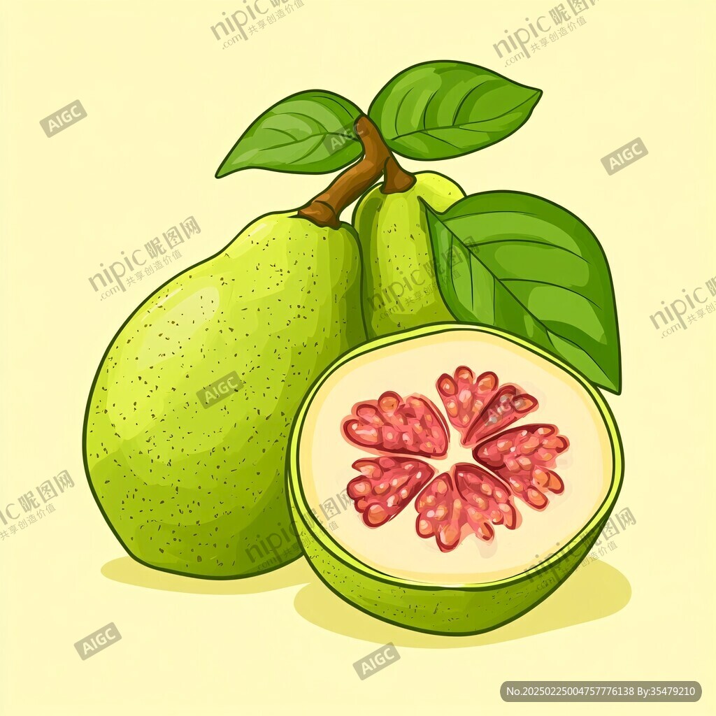 番石榴插畫(huà)