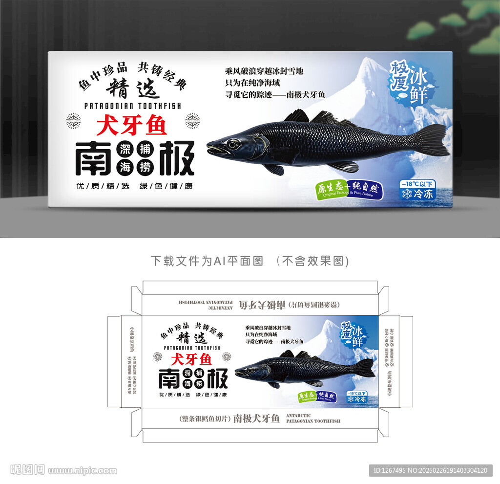 南極犬牙魚盒