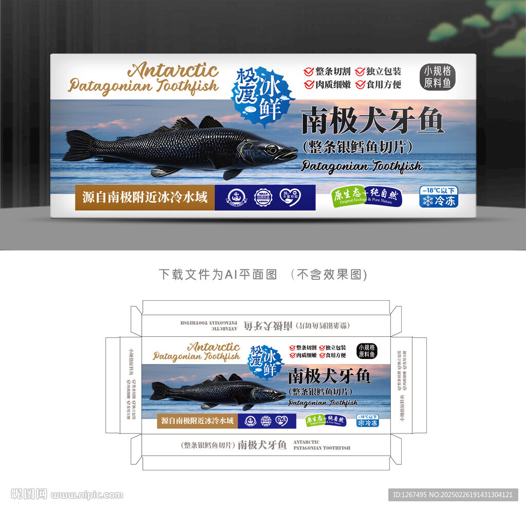 南極犬牙魚盒