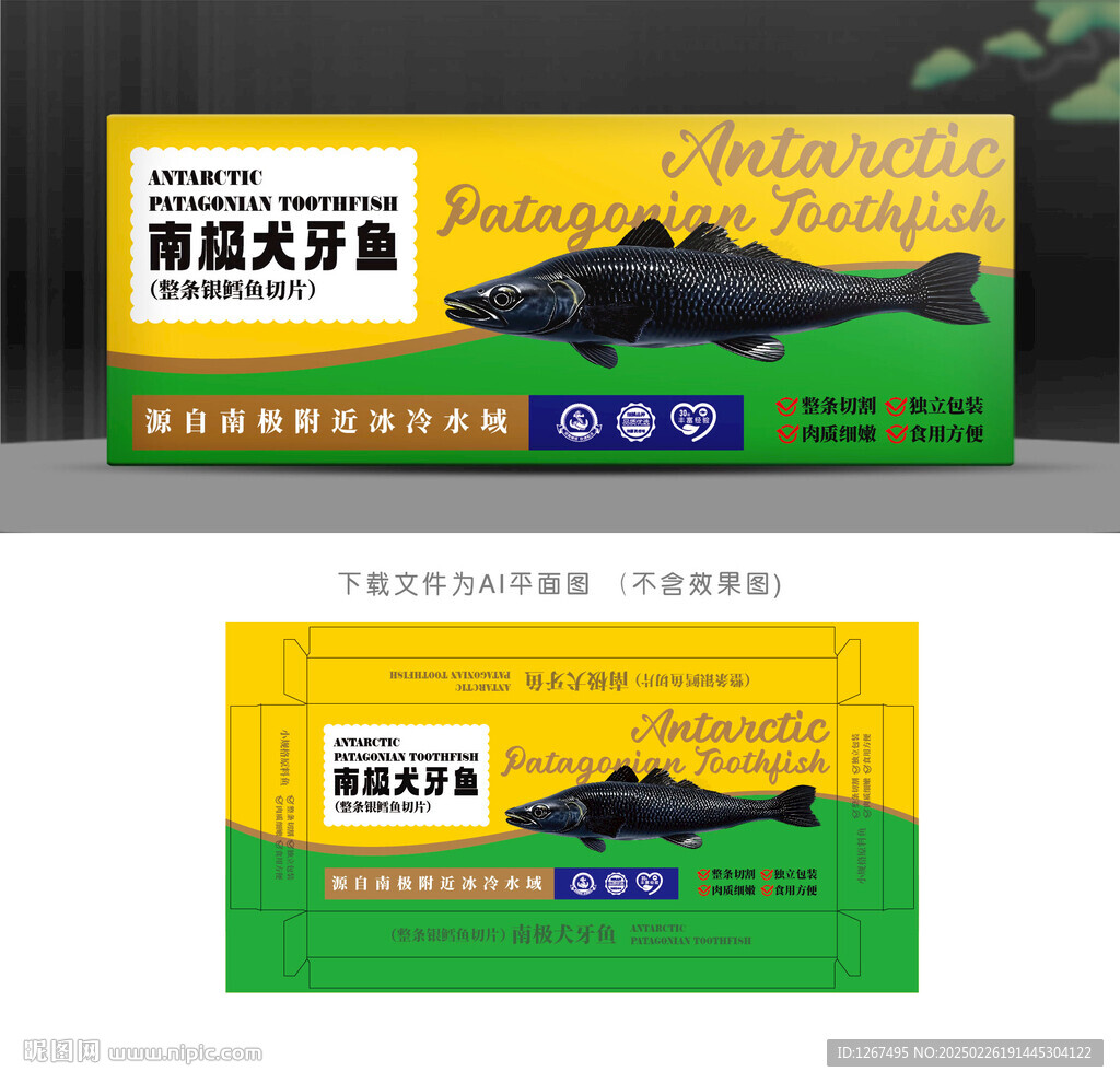 南極犬牙魚盒