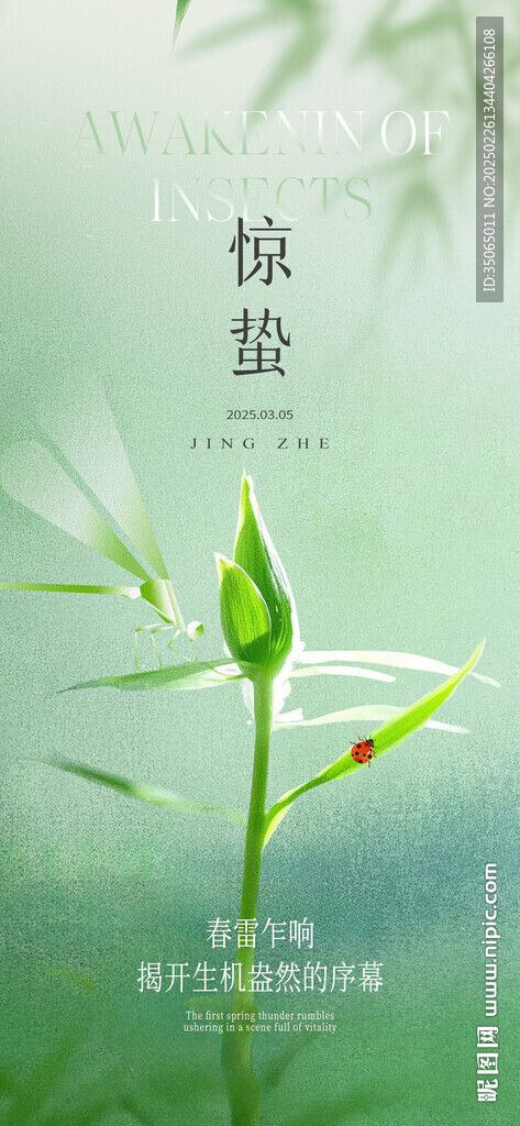 驚蟄節氣海報