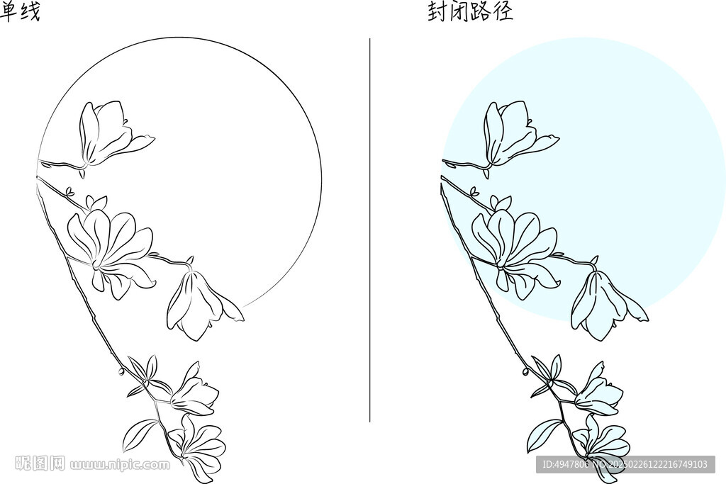 玉蘭花 矢量圖