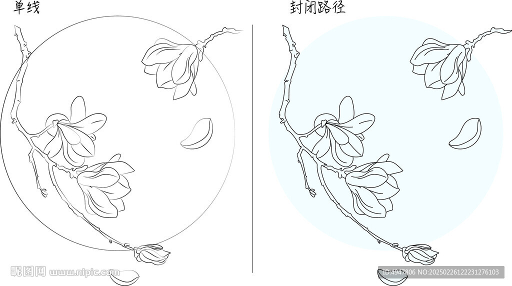 玉蘭花 矢量圖