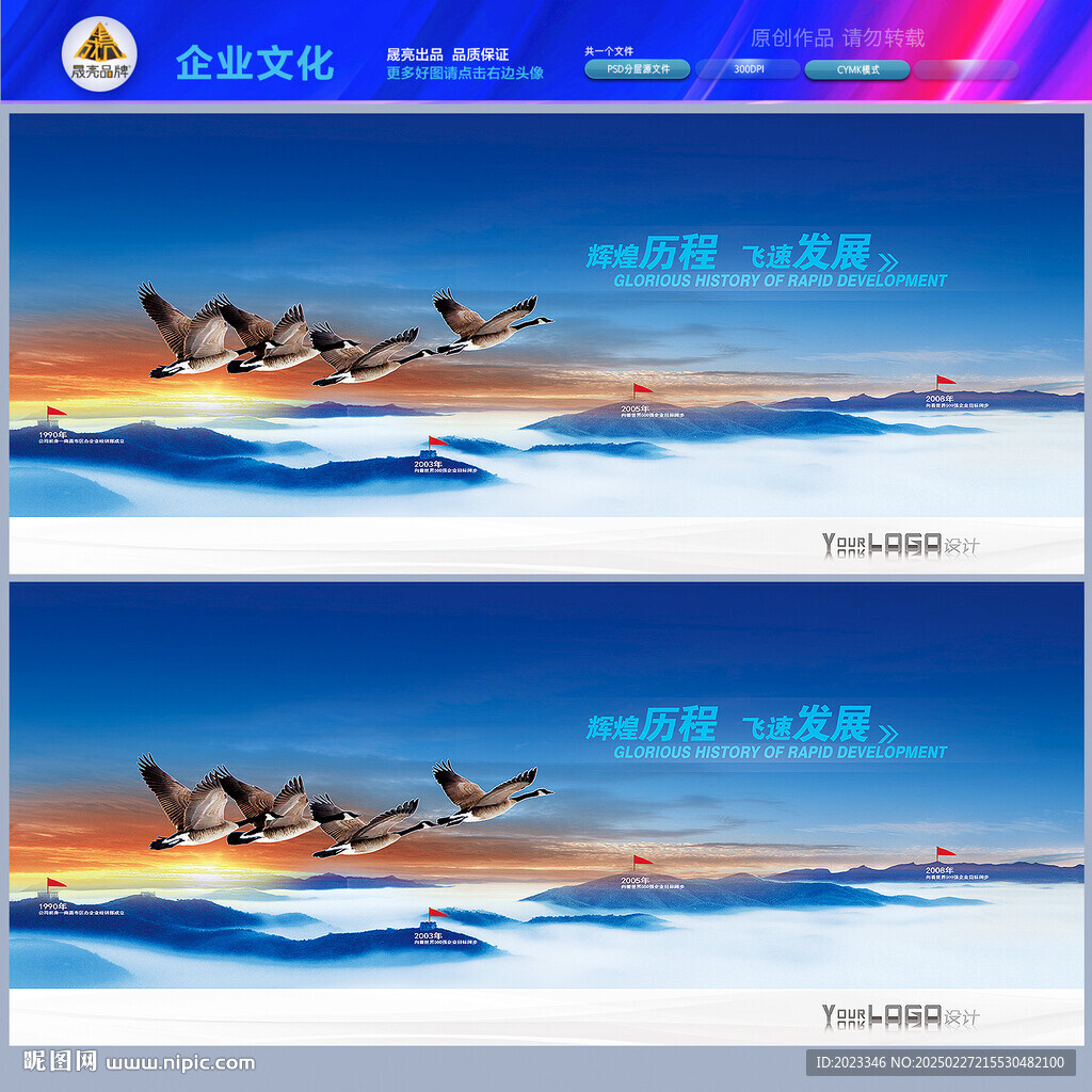 公司發(fā)展歷程