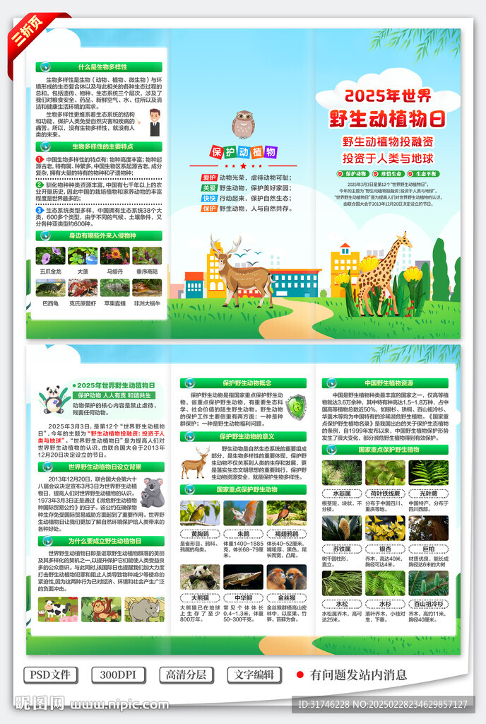 2025年世界野生動植物日折頁
