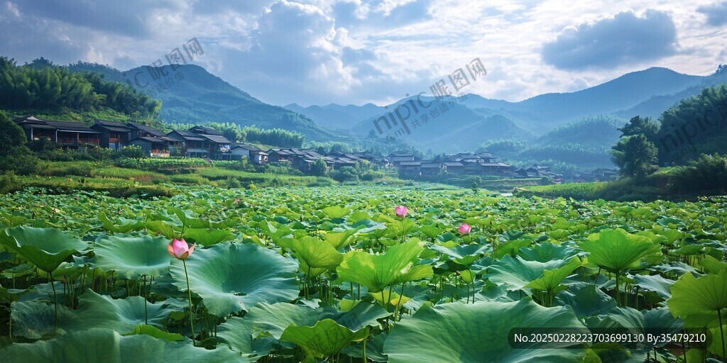 荷塘山村