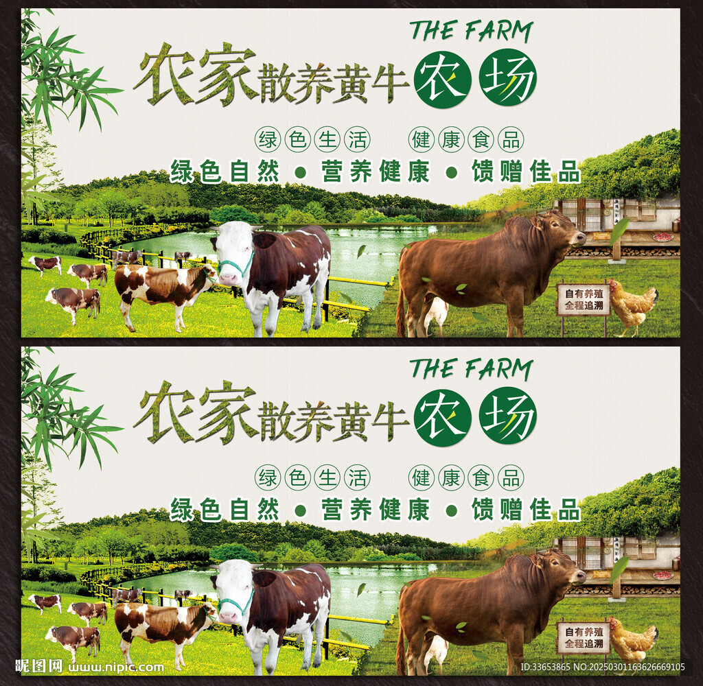 散養(yǎng)黃牛展板