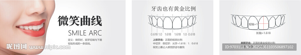 微笑曲線 牙齒黃金比例